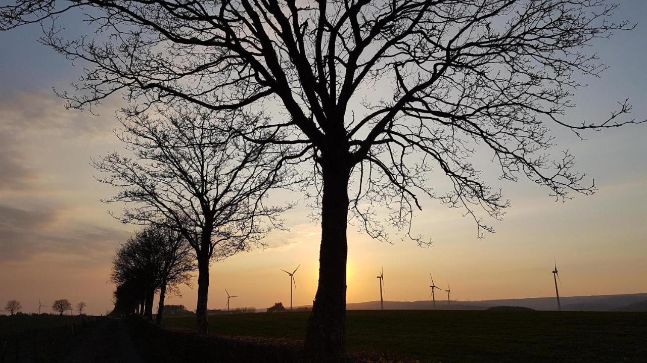 Ferienwohnung An Der Kleinen Schreinerei Hallschlag Kültér fotó