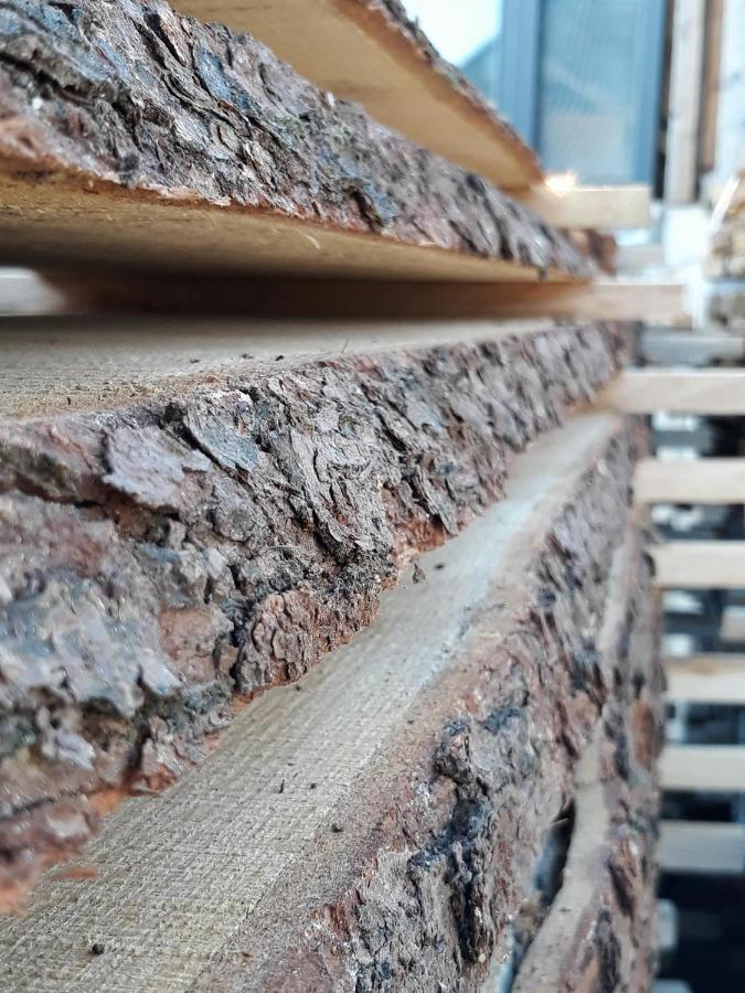 Ferienwohnung An Der Kleinen Schreinerei Hallschlag Kültér fotó